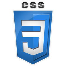 CSS Logo
